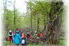 初夏の森林観察会 〜2011森を知ろう、森で遊ぼうin渓流の森〜